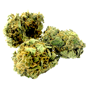 CBD American Shaman of Keller